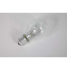 Лампа накаливания ЛОН 95Вт А55 230В Е27 прозрачная